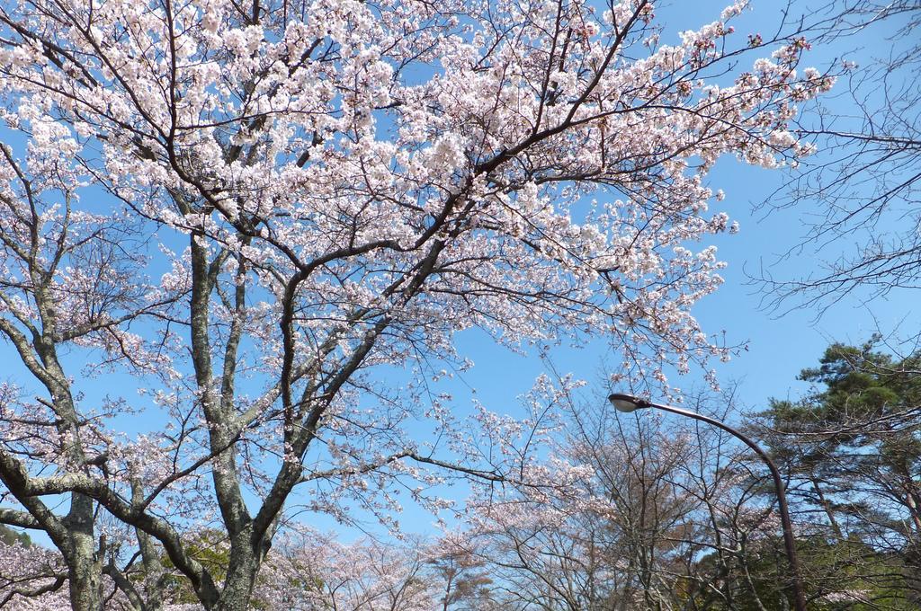 ホテル メープル猪名川 川辺郡 エクステリア 写真